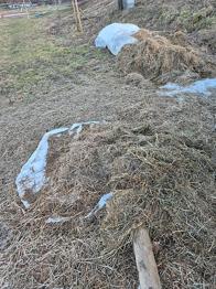 Hö/hösilage till trädgårdsodling