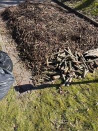 Bortskänkes ved malda kvistar