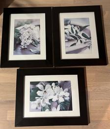 Skänkes - 3 st IKEA tavlor - 48x38cm