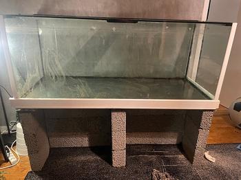Akvarium glas med öppet lock