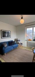 Soffa i fint skick bortskänkes mot upphämtning