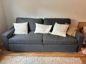 Bäddsoffa bortskänktes idag mot upphämtning