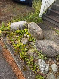 Trädgårdssten / storsten / stenbumlingar BORTSKÄNKES