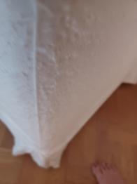 Schäslong skänkes