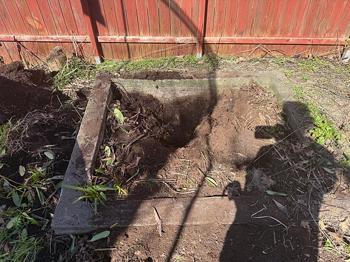 Odlingslåda i betong bortskänkes