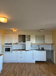 Kök. Köksstommar några luckor och diskbänk, Ballingslöv 1993 bortskänkes