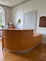 Receptionsdisk, Björk