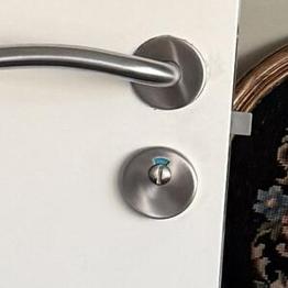 Mycket gedigen badrumsdörr