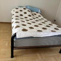 Bortskänkes allting på bilderna