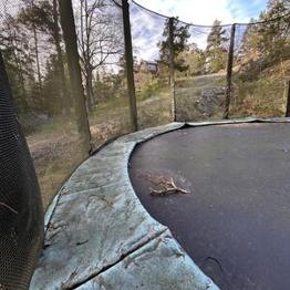 Rund Studsmatta,trampolinspecialisten