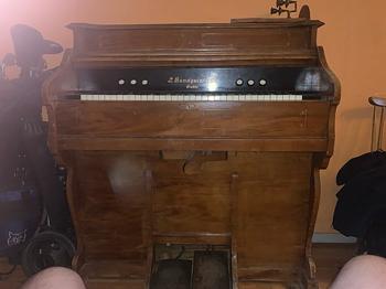 Tramporgel bortskänktes