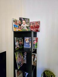 Hörnbokhylla bortskänkes