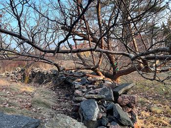 Natursten blandade storlekar bortskänkes