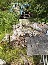 Blandat björkvirke / ved i grova stockar
