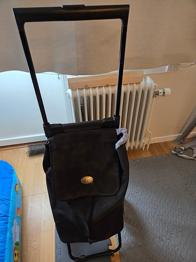 Dramat/shoppingväska/ utflyktsväska på hjul