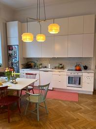 Ikeas Faktum stommar och dörrar