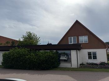 Lagerhägg häck/buske bortskänkes