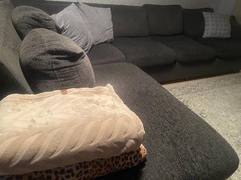 Divansoffa bortskänkes