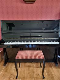 Piano + pall