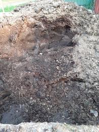 Hästgödsel bortskänkes vid upphämtning